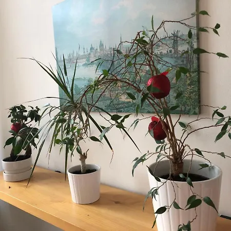 Apartmán Petrinska Studio In The Historical Heart Of Praha